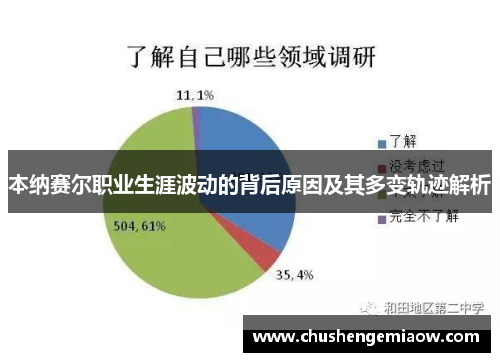 本纳赛尔职业生涯波动的背后原因及其多变轨迹解析