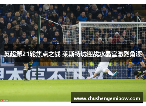 英超第21轮焦点之战 莱斯特城迎战水晶宫激烈角逐