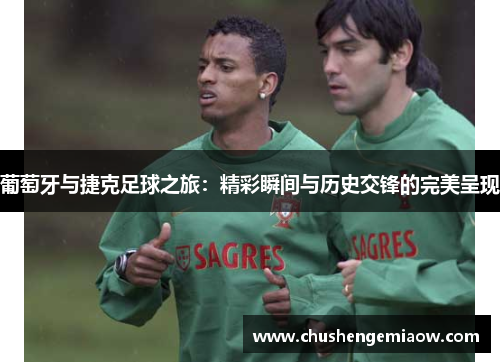葡萄牙与捷克足球之旅：精彩瞬间与历史交锋的完美呈现
